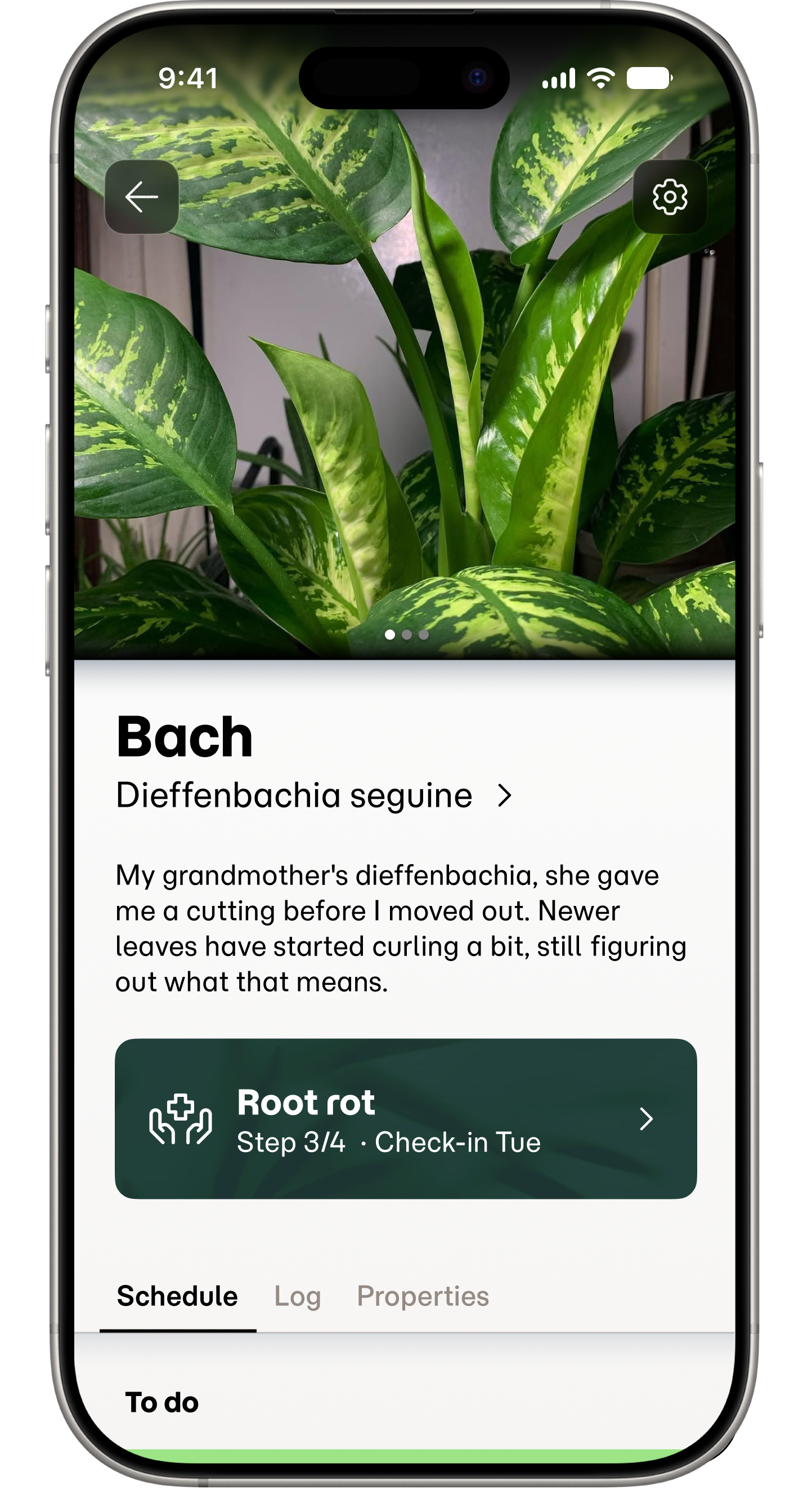 Screenshot of a plant's page
